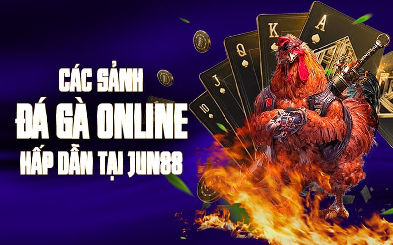 Các sảnh đá gà online hấp dẫn tại Jun88